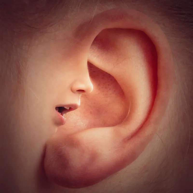 It's not ignoring; it's physiology: men really don't hear women.