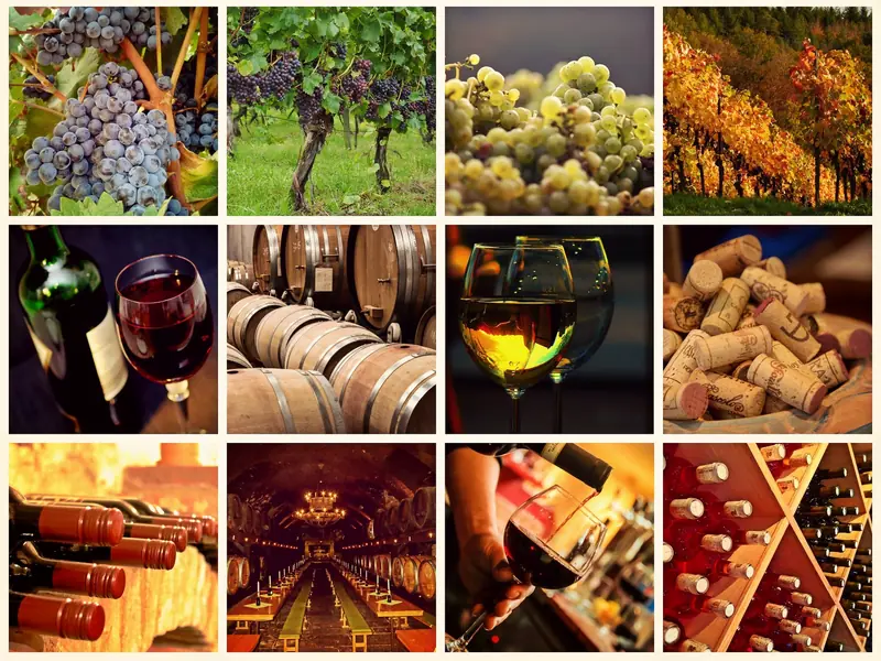 Sweeter and stronger: global warming will forever change the taste of wine.