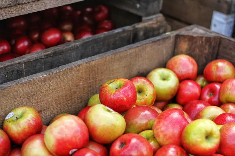 Harvest season: how and where to store vegetables and fruits?