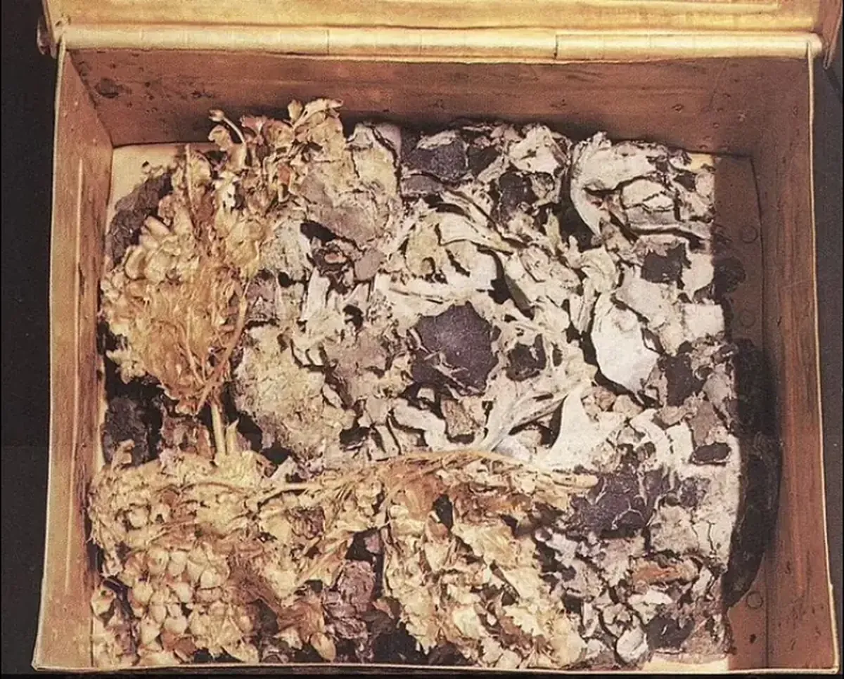 The Secret of Vergina: A Sacred Chiton of Alexander the Great Found in Greece