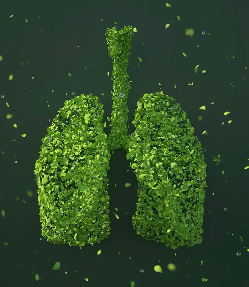 Healthy Lungs: Vitamin K in Broccoli Against Asthma