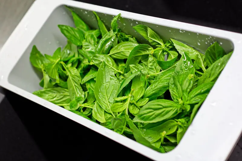 Rules for Healthy Living: How to Wash Fruits and Vegetables According to Science