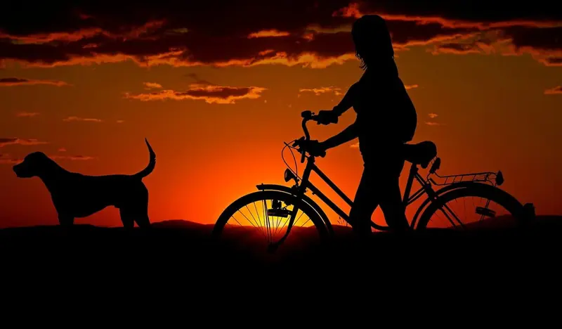 Dogs are not just friends; they are also healers of people.