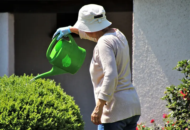Everyone in the garden: gardeners and horticulturists are better protected against stroke and dementia.