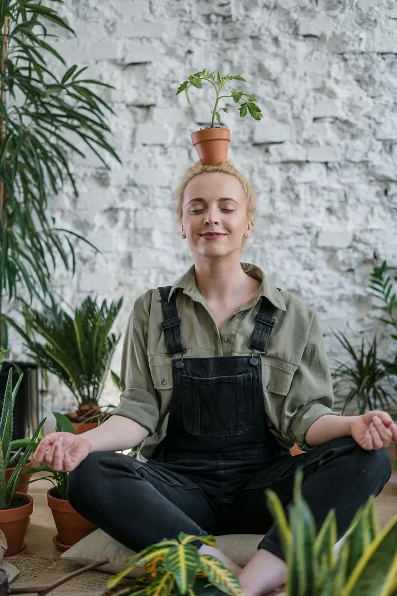 One in seven people considers a houseplant to be a family member, according to scientists.