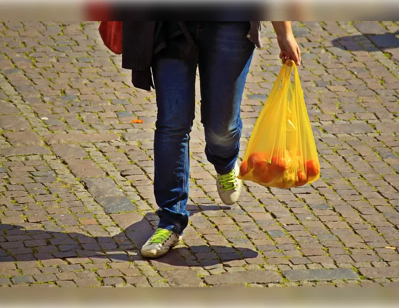Not protection, but harm: scientists debunk the myth of biodegradable bags.