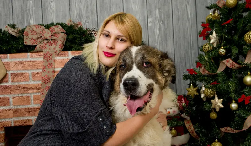 There are three categories of dog owners. Which one do you belong to?