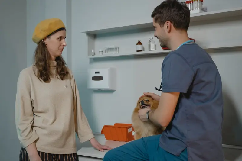 Purebred dogs do not get sick more often than mixed breeds: debunking the myth.