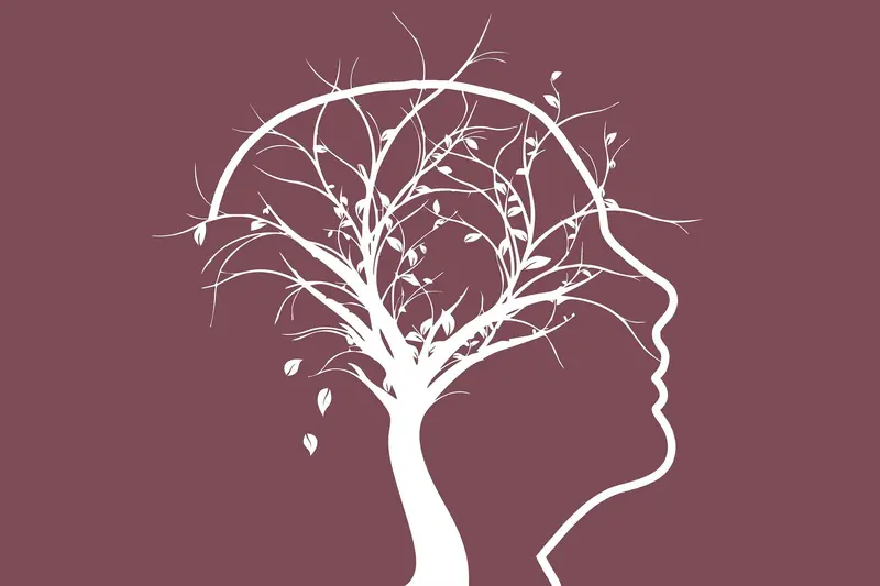 The reserves of human memory: what is it capable of?