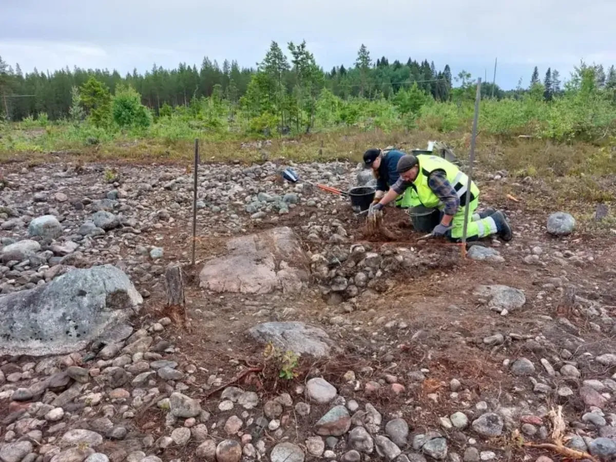 A craftsman's masterpiece: an ancient arrowhead made of white quartzite has been discovered in Sweden.