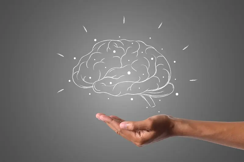 The biological age of the brain determines a person's lifespan.