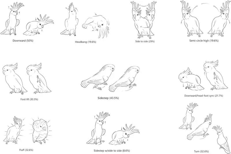 Illustration of the 10 most common recorded dance moves of parrots