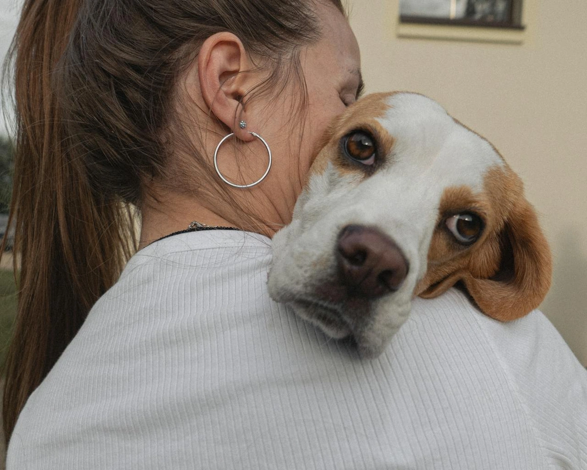 a dog that reads our emotions