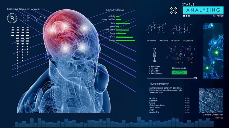 Brain Neuron Activity