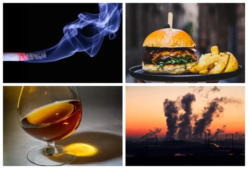 The Deadly Quartet: Factors Linked to a Third of All Deaths Worldwide Identified