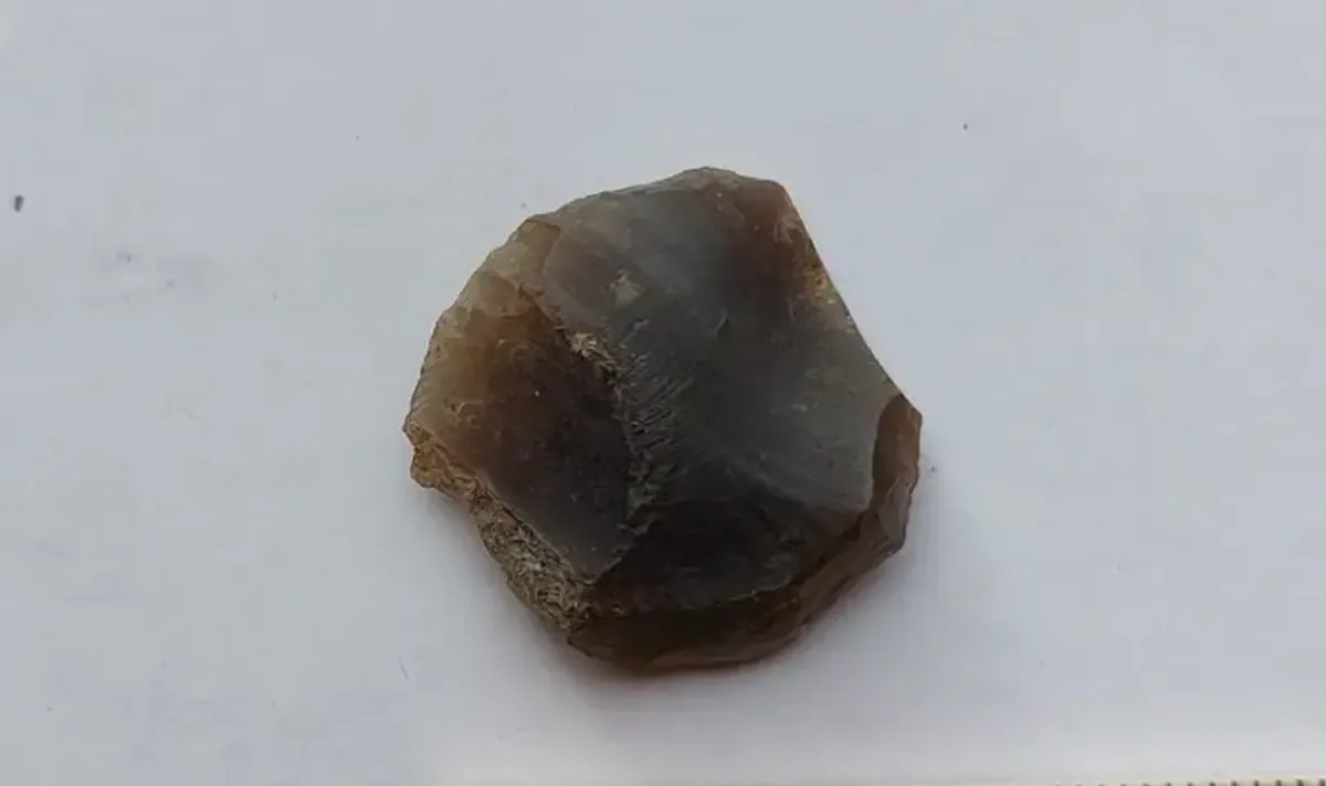 A craftsman's masterpiece: an ancient arrowhead made of white quartzite has been discovered in Sweden.