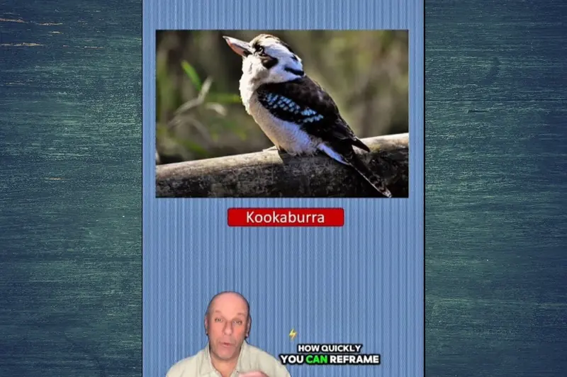 The kookaburra isn't alone: what other animal do you see in the photo?