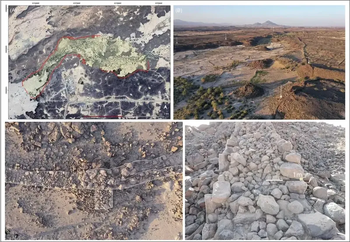 Oases with ancient walls have been discovered in the Arabian Desert: 4,000 years ago, life thrived here.