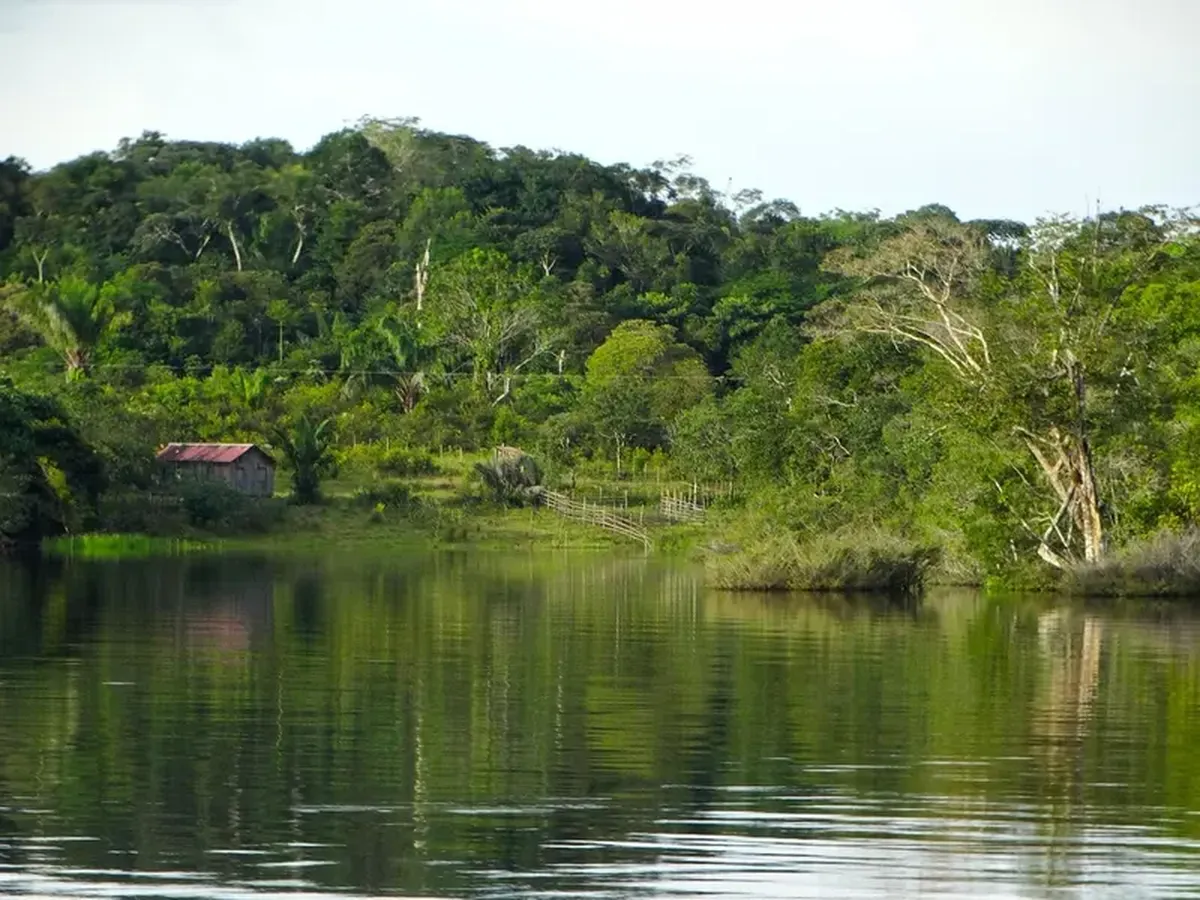 House in the Amazon Rainforest