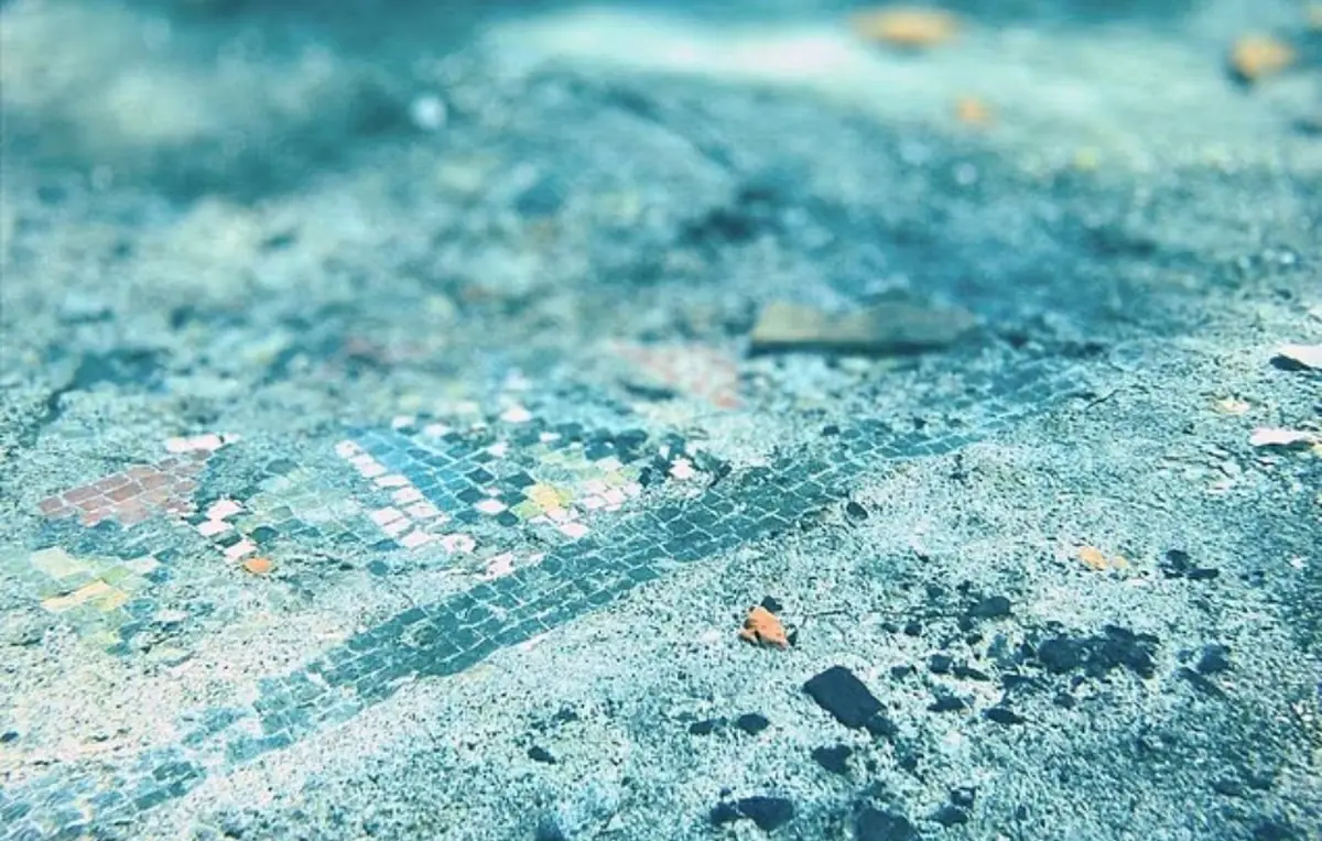 remnants of the mosaic