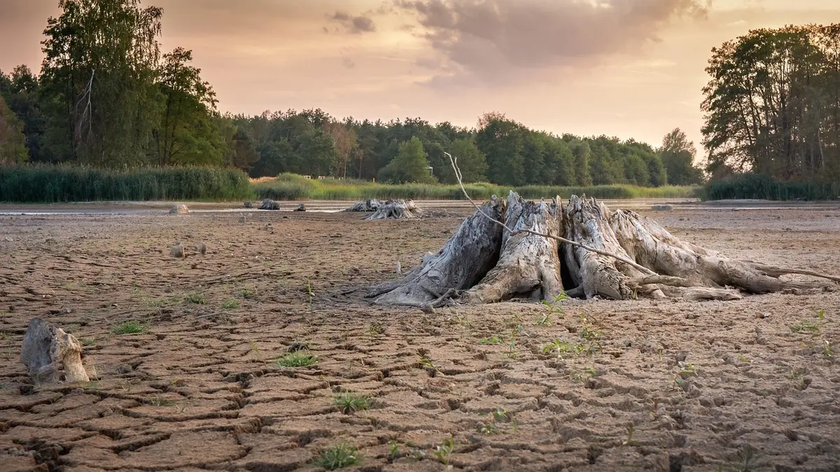 The continents of Earth are drying out at an unprecedented rate
