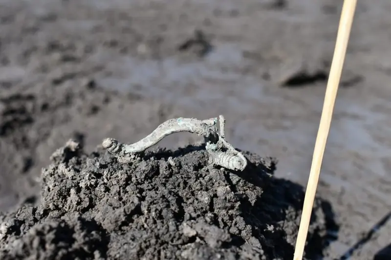 A large Celtic settlement with treasures has been discovered in the Czech Republic.
