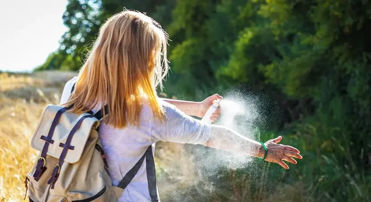 Flying and biting: how to protect yourself from mosquitoes, wasps, bees, and flies.