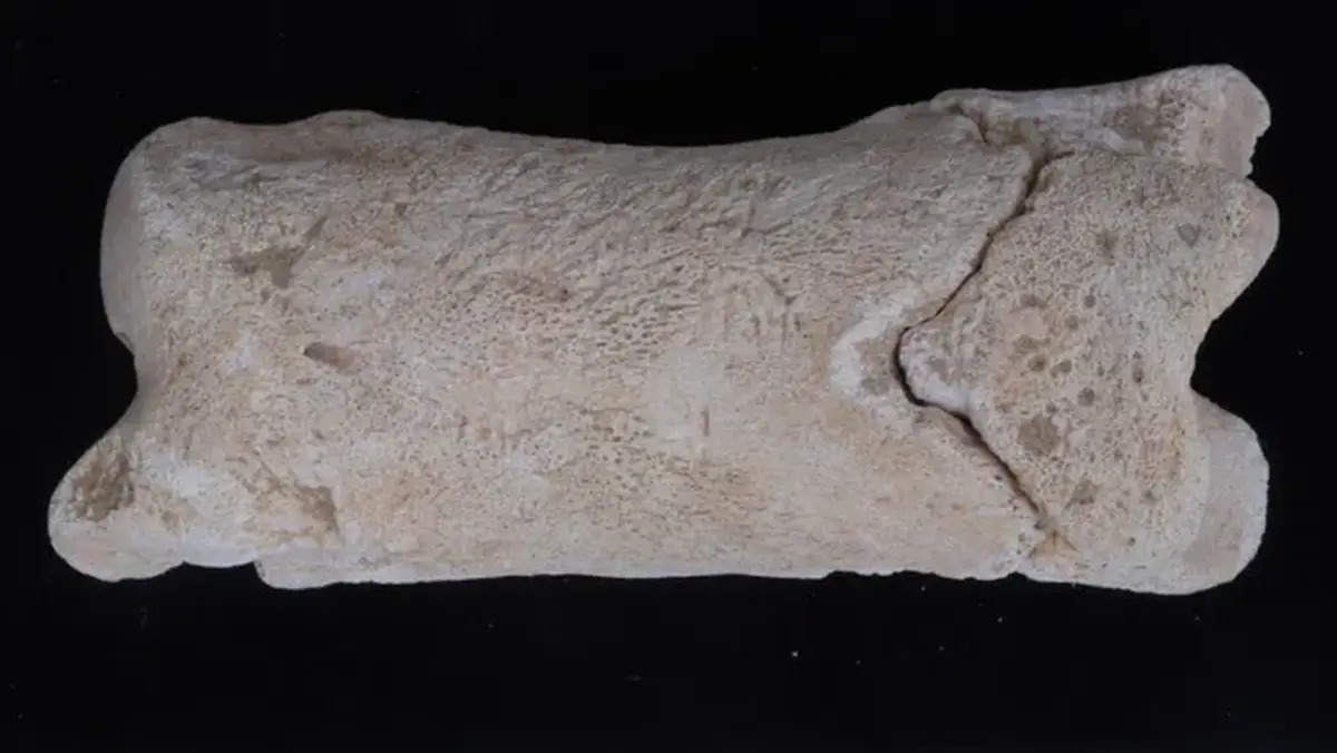 Archaeologists studied a 3,300-year-old whistle of an ancient Egyptian policeman