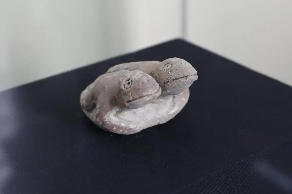 Archaeologists unearthed a rare frog sculpture in Peru