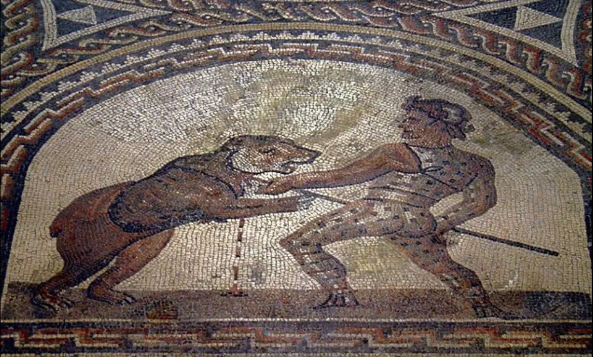 Bears in Ancient Roman Arenas