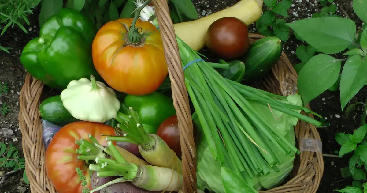 Green means healthy