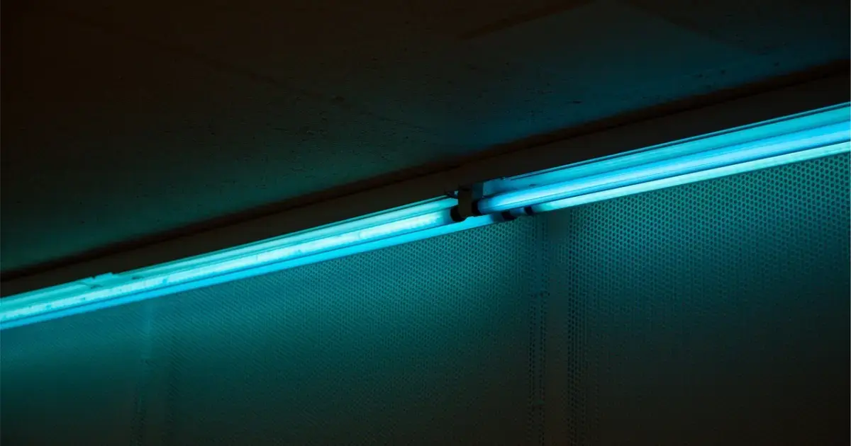 blue LED light
