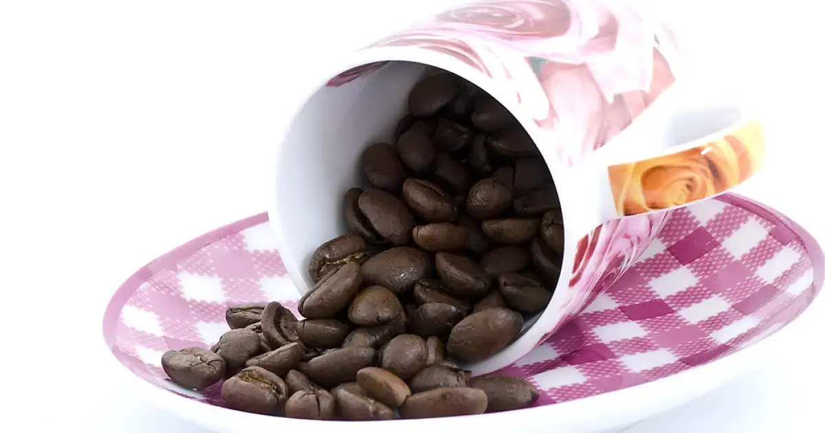 coffee beans in a cup