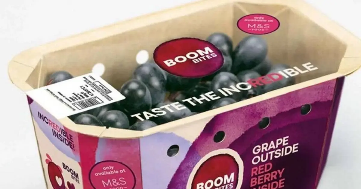 Boombites in a box