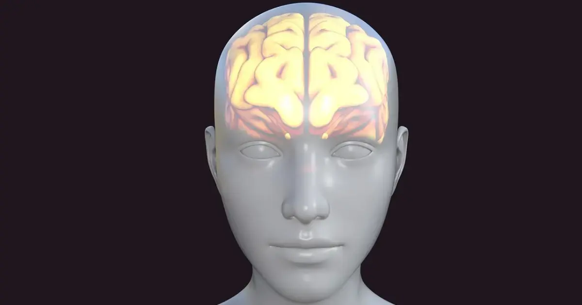 Neuroscientist discovers a deep area of the brain that controls consciousness