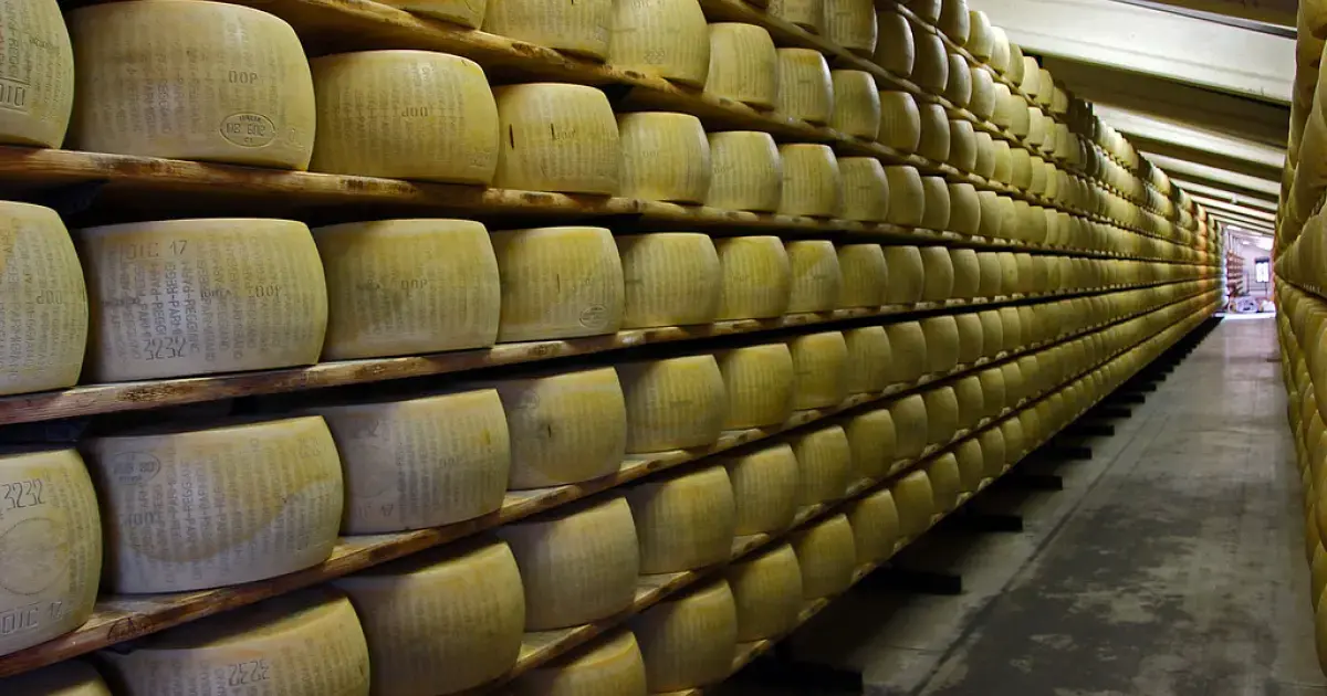 Parmesan on shelves