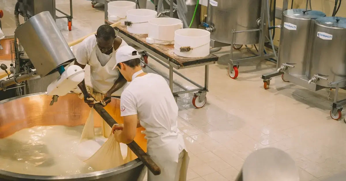Parmesan production