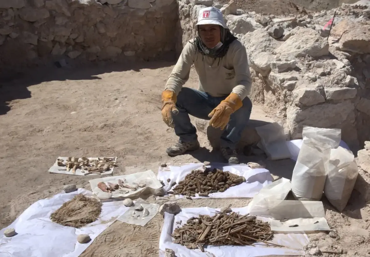 Excavated Remains of an Ancient Banquet, Fragments of Jugs with Beer Residue