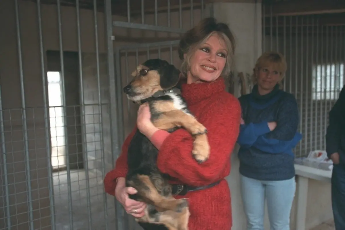 Brigitte Bardot in an animal shelter (1)