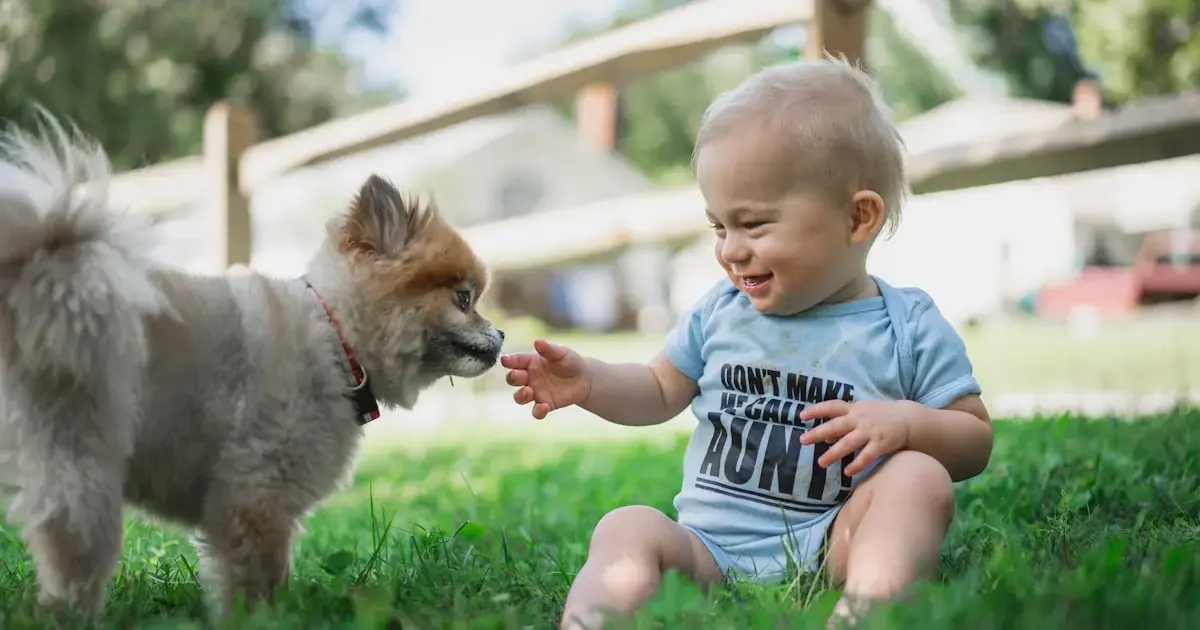 baby with a dog