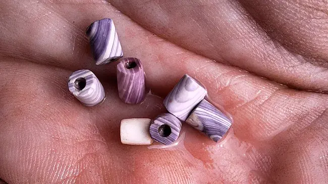 In Canada, a student discovered 7 rare 17th-century beads hidden in old trash
