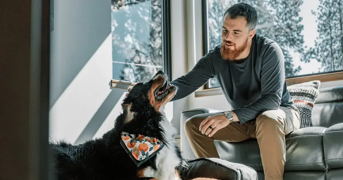 Is your dog a genius? Five simple tests to assess your dog's intelligence