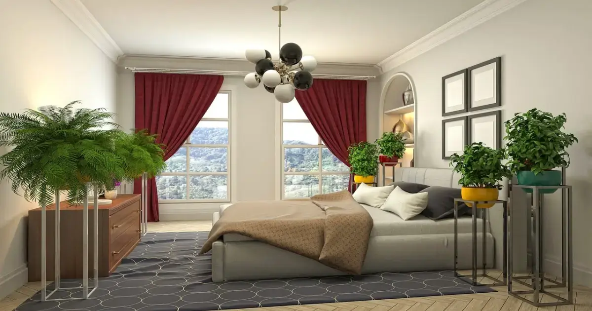 Plants for the Bedroom: Which Houseplants Improve Sleep