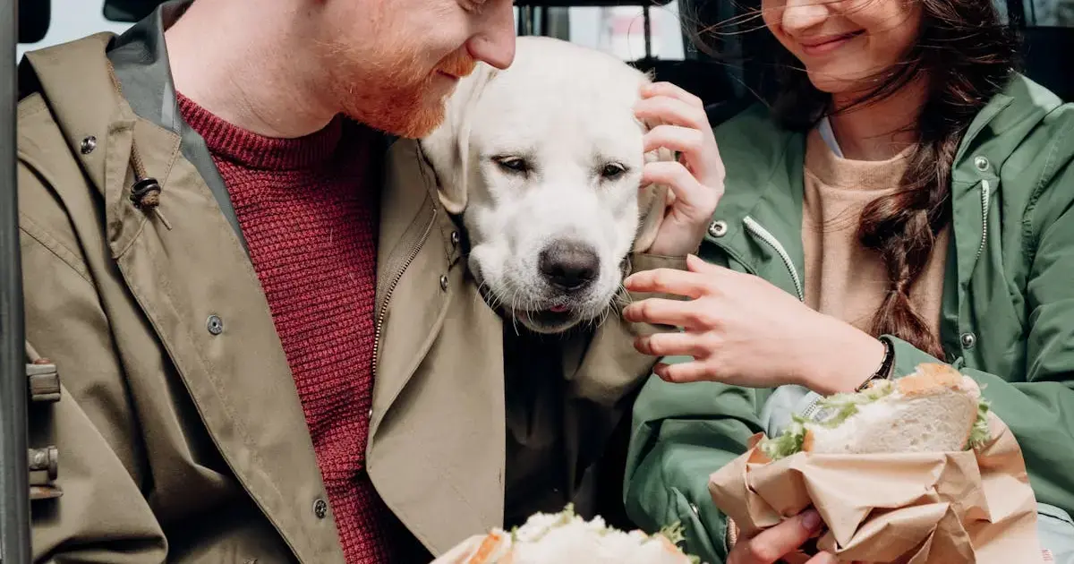 people eating with a dog