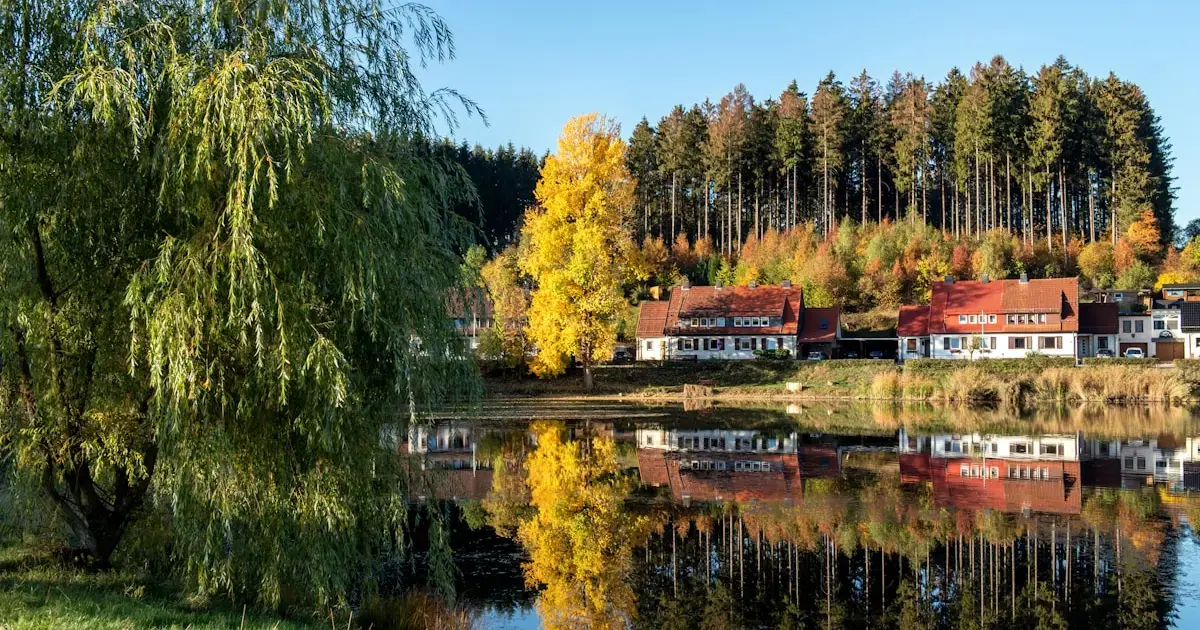 Sweden becomes the first country prescribed as medicine