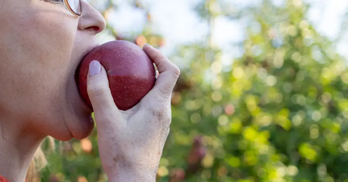 woman eating an apple