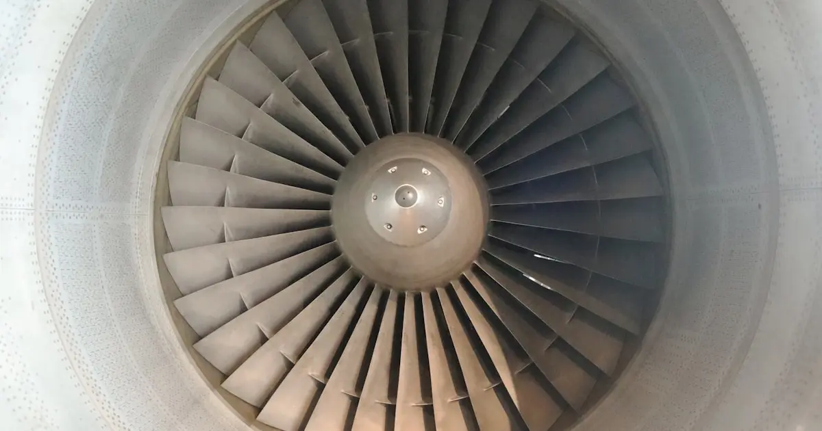 close-up photo of fan