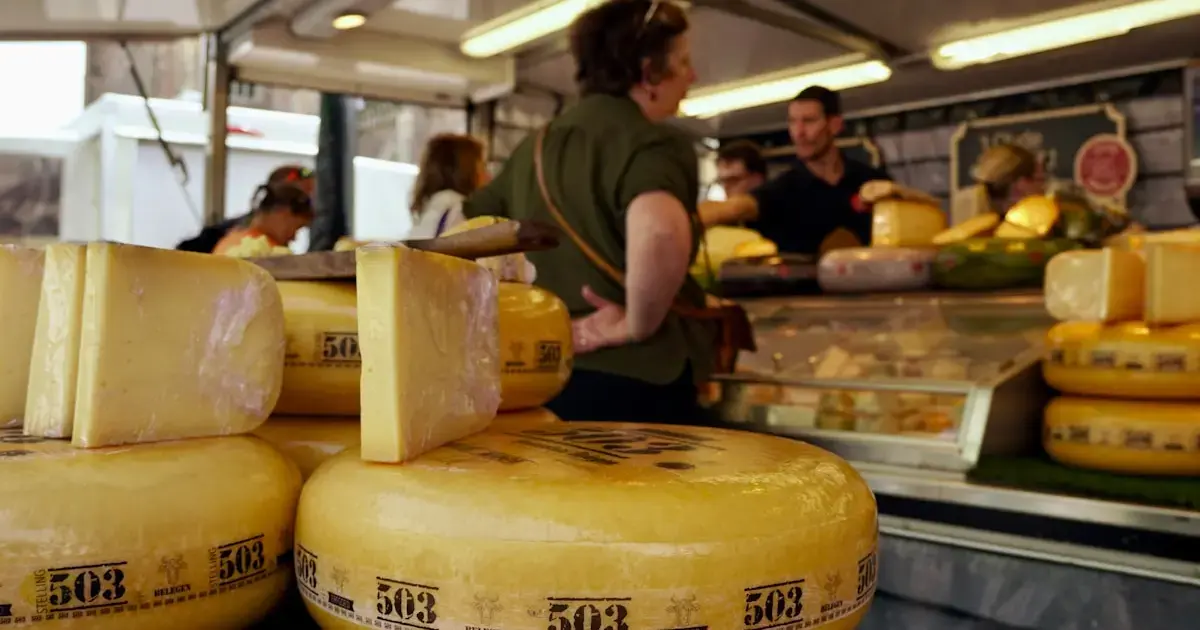 Eating cheese may prevent dementia: consume it at least once a week