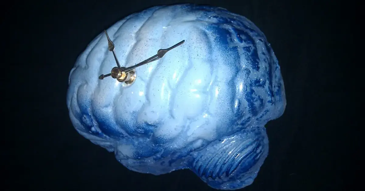 brain clock