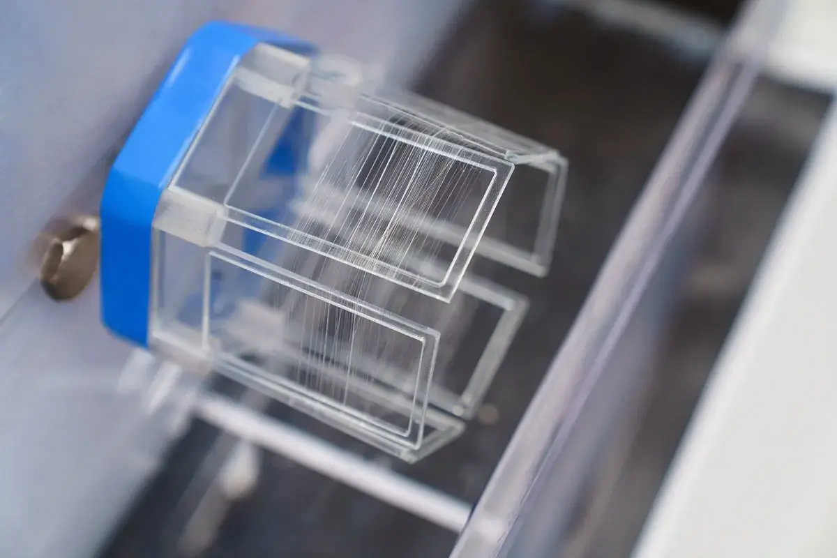 Spider Silk That Heals